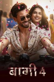 Baaghi 4 (2025)