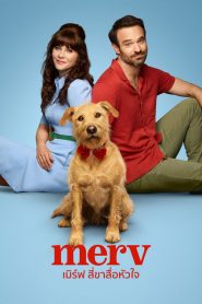 Merv (2025) เมิร์ฟ สี่ขาสื่อหัวใจ