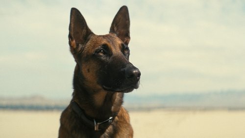 Fallout (2024) ฟอลล์เอาท์ ภารกิจฝ่าแดนฝุ่นมฤตยู ตอนที่ 7