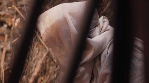 The Company (2025) คฤหาสน์แห่งความเงียบ ตอนที่ 29