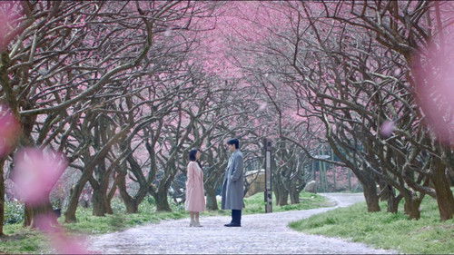 Shine on Me (2025) ดั่งตะวันฉายฉาน ตอนที่ 24