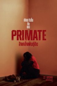 Primate (2026) ลิงคลั่งพันธุ์ดิบ
