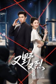 Wild & Fiery (2026) เกมรักคุณหนูกำมะลอ