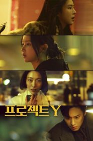 Project Y (2026) โปรเจกต์ Y