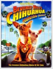 BEVERLY HILLS CHIHUAHUA 1 (2008) คุณหมาไฮโซ โกบ้านนอก ภาค 1