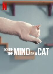 Inside the Mind of a Cat (2022) คิดแบบแมวๆ