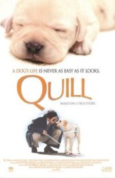 Quill: The Life of a Guide Dog (2004) โฮ่งฮับ เจ้าตัวเนี้ยซี้ร้อยเปอร์เซ็นต์