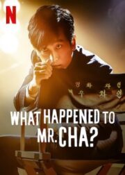What Happened to Mr Cha (2021) ชาอินพโย สุภาพบุรุษสุดขั้ว